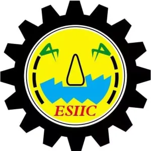 15 partner esiic