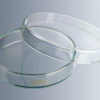 Petri dishes , soda lime glass , sterilisable ( Marienfeld / ألماني ) petri dishes , soda lime glass , sterilisable ( marienfeld / ألماني )