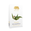 1 euacalyptus oil 125 ml lg